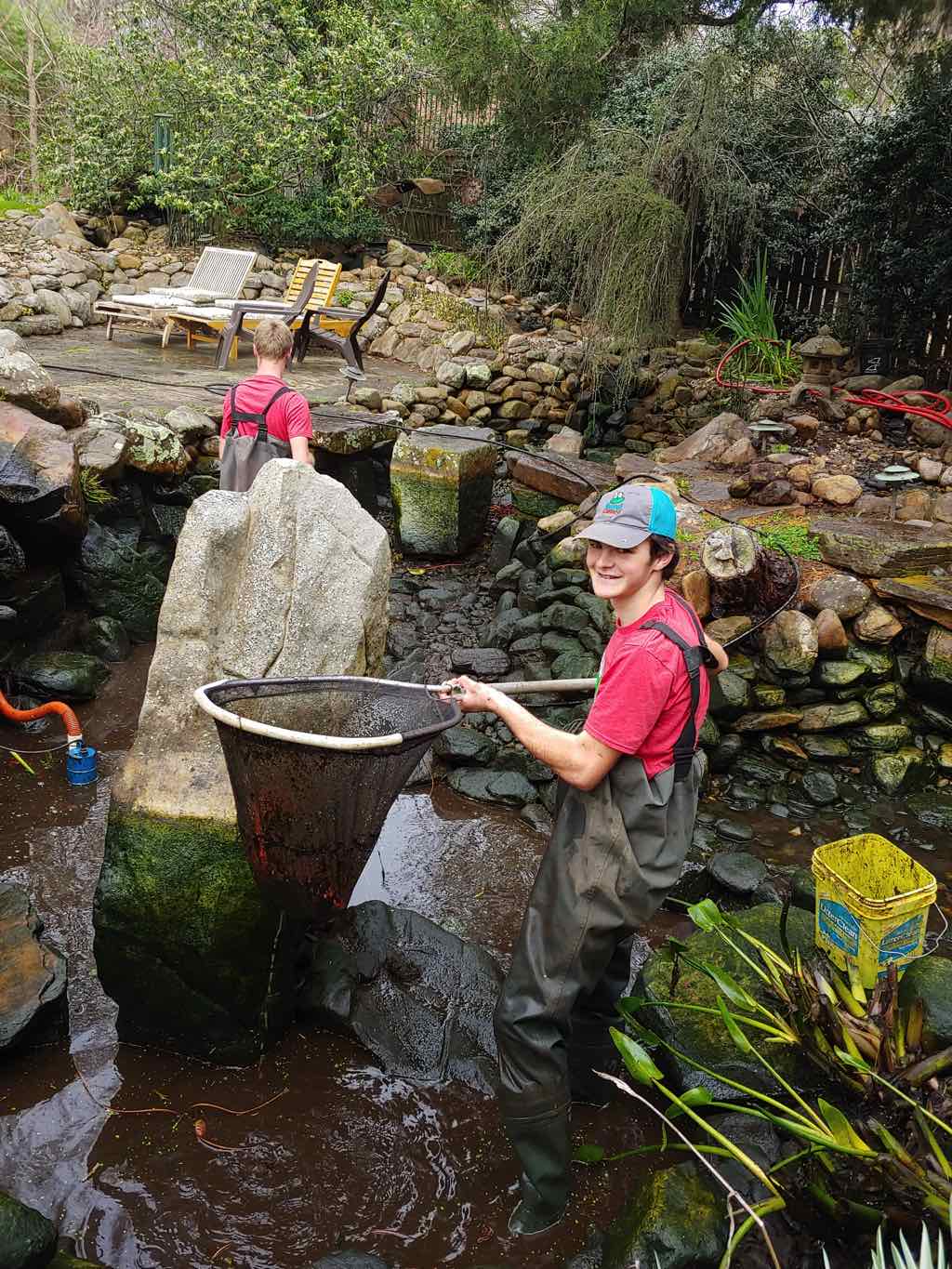 The DIY Guide to Spring Cleaning Your Koi Pond