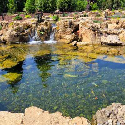 The Best Water Treatments to Keep a Koi Pond Clear in Spring and Summer