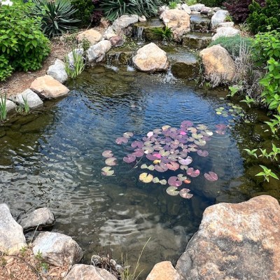 Why You Don’t Want a Concrete Pond or Waterfall