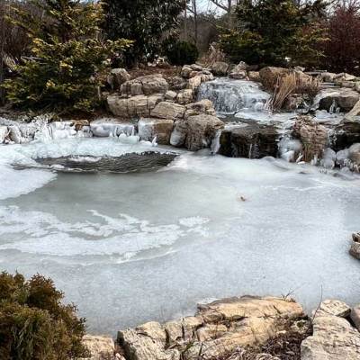 Tips for Your Koi Pond and Winter Weather