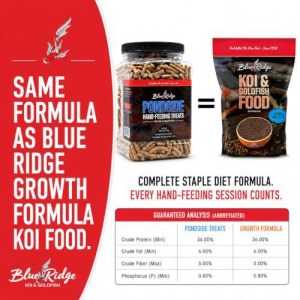 Blue Ridge Koi Pondside Hand Feeding Treats, Koi Fish Food Sticks