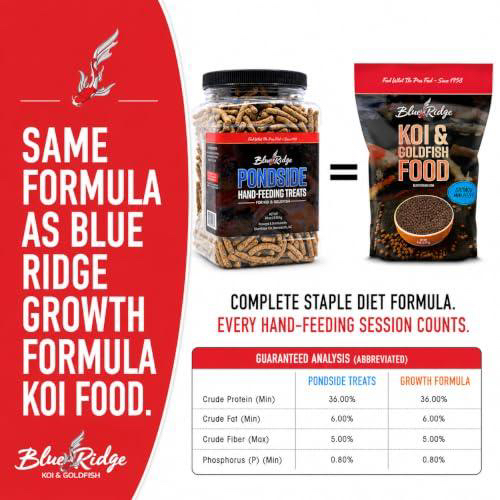 Blue Ridge Koi Pondside Hand Feeding Treats, Koi Fish Food Sticks